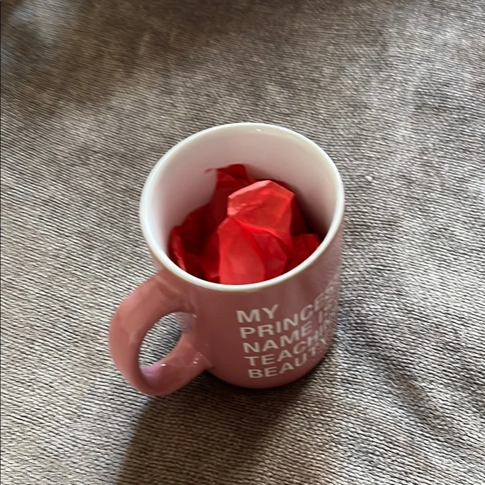 NWT Pink Mug with Fun Teaching Quote- “My Princess Name is Teaching Beauty”